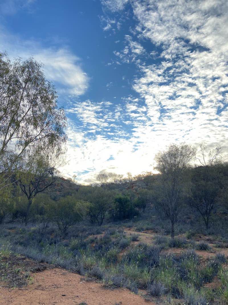 walking near me in Alice Springs Telegraph Station Management Area in summer