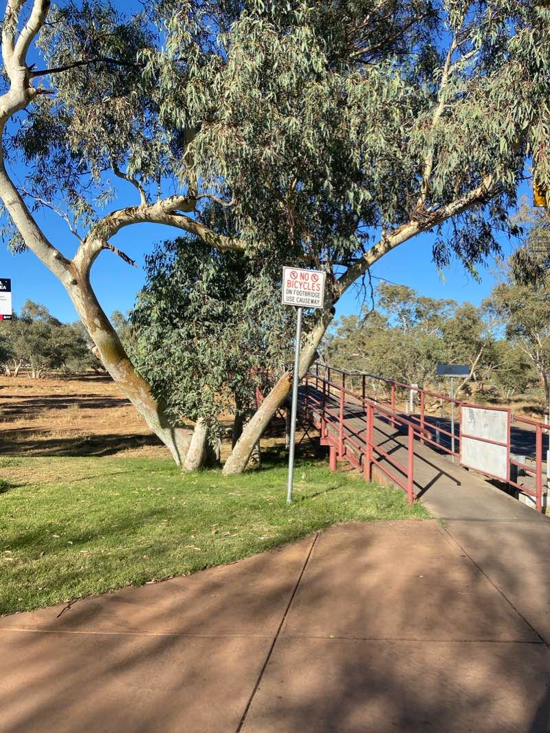 walking near me in Ross Park in summer