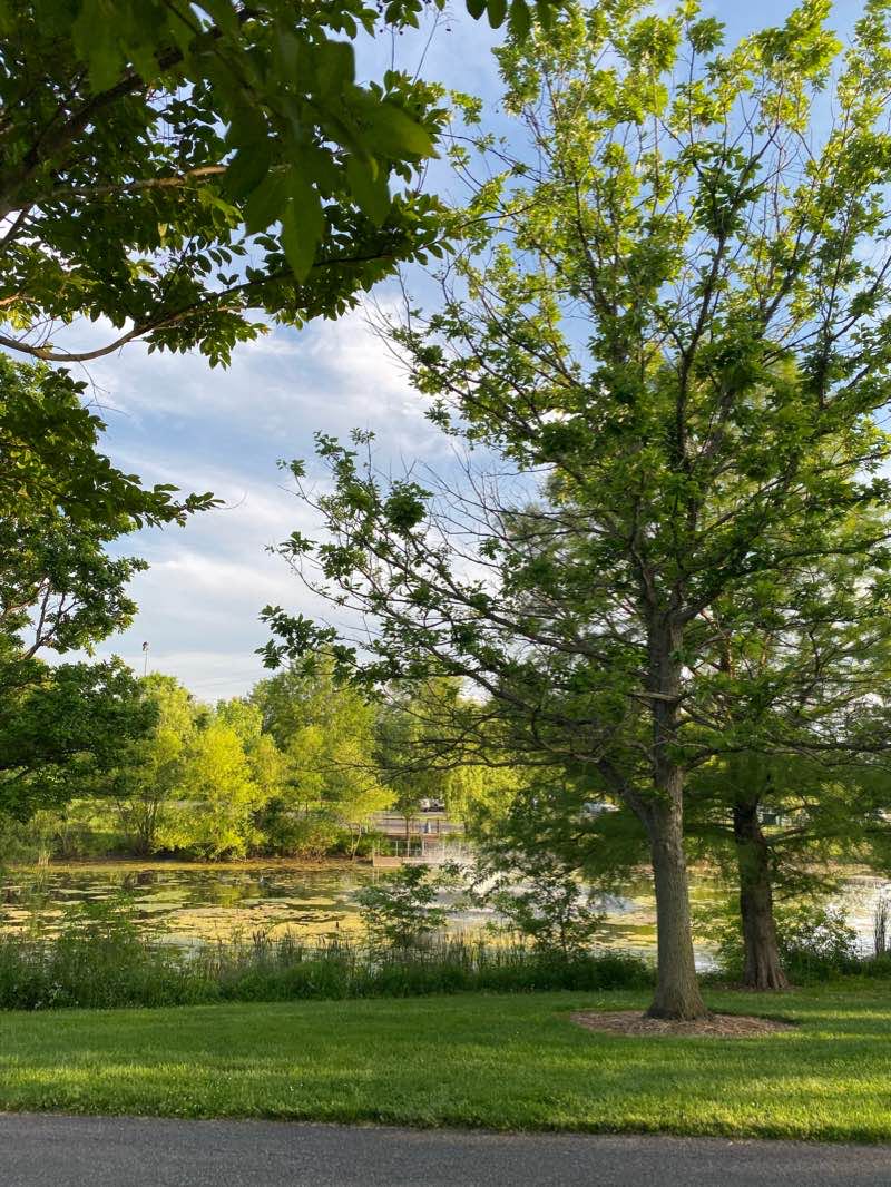 walking near me in South Germantown Recreational Park in winter