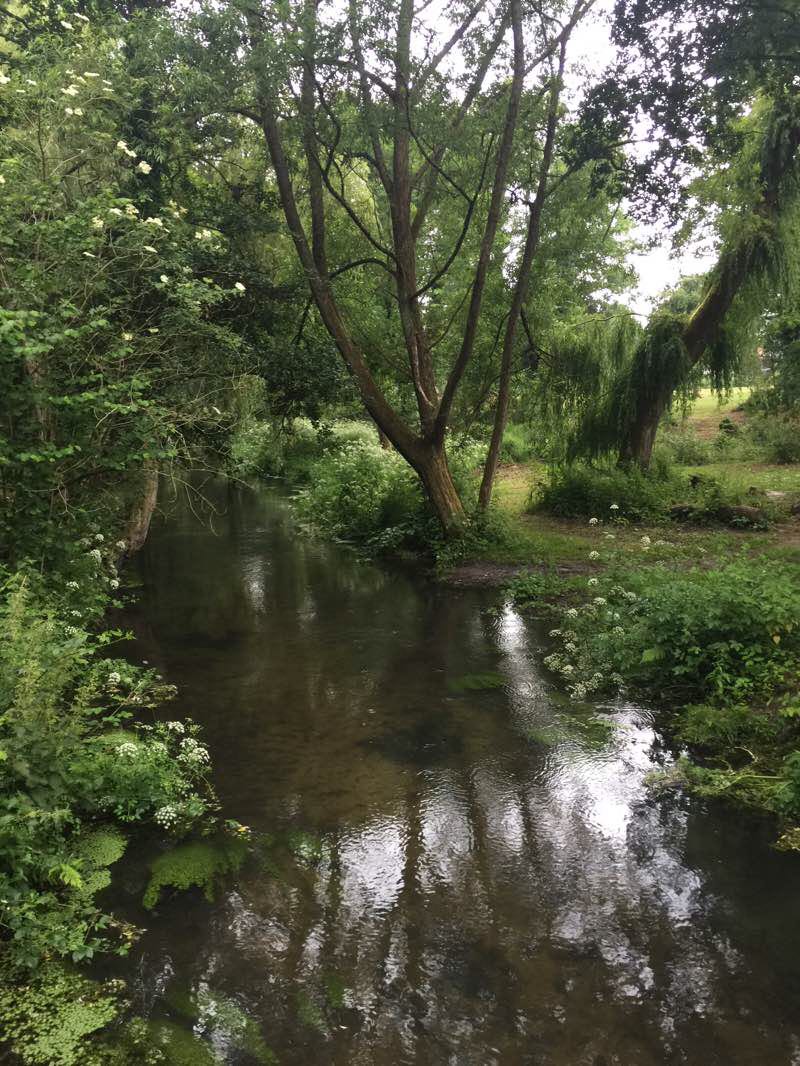 walking near me in Radford Park in winter