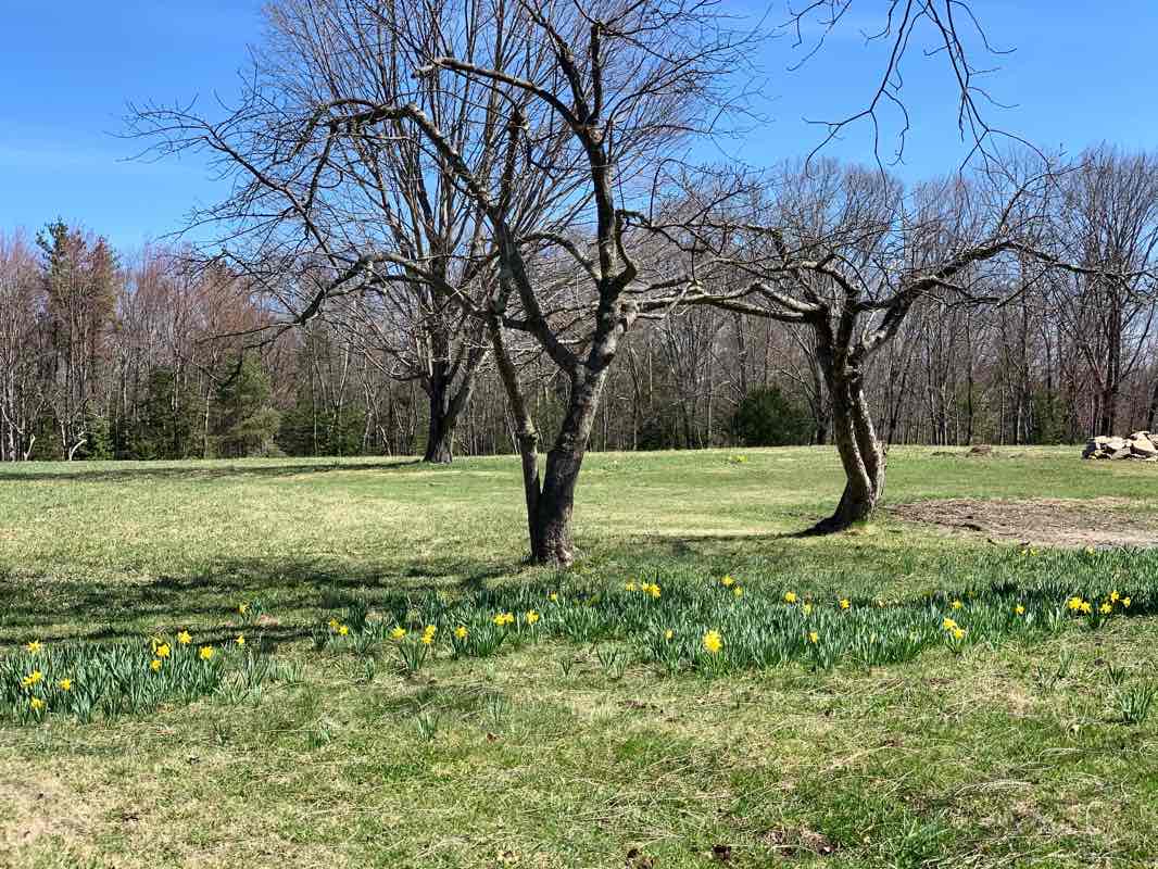 walking near me in Godard Preserve in winter