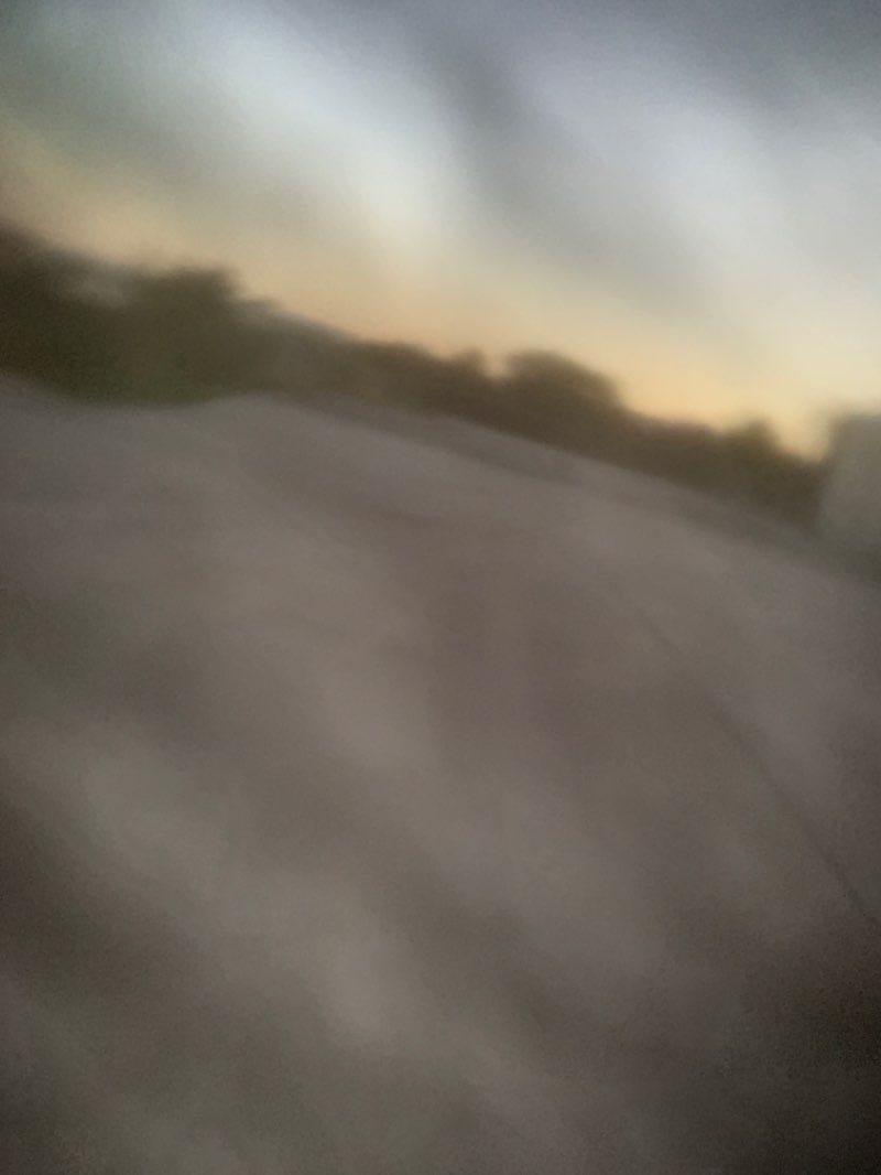 walking near me in Steeplechase Park in winter