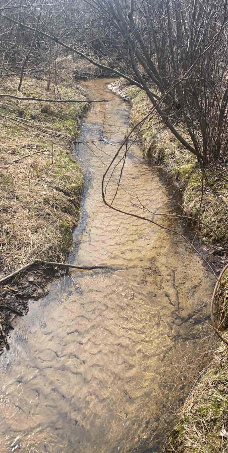 walking near me in Mirror Lake State Park in winter
