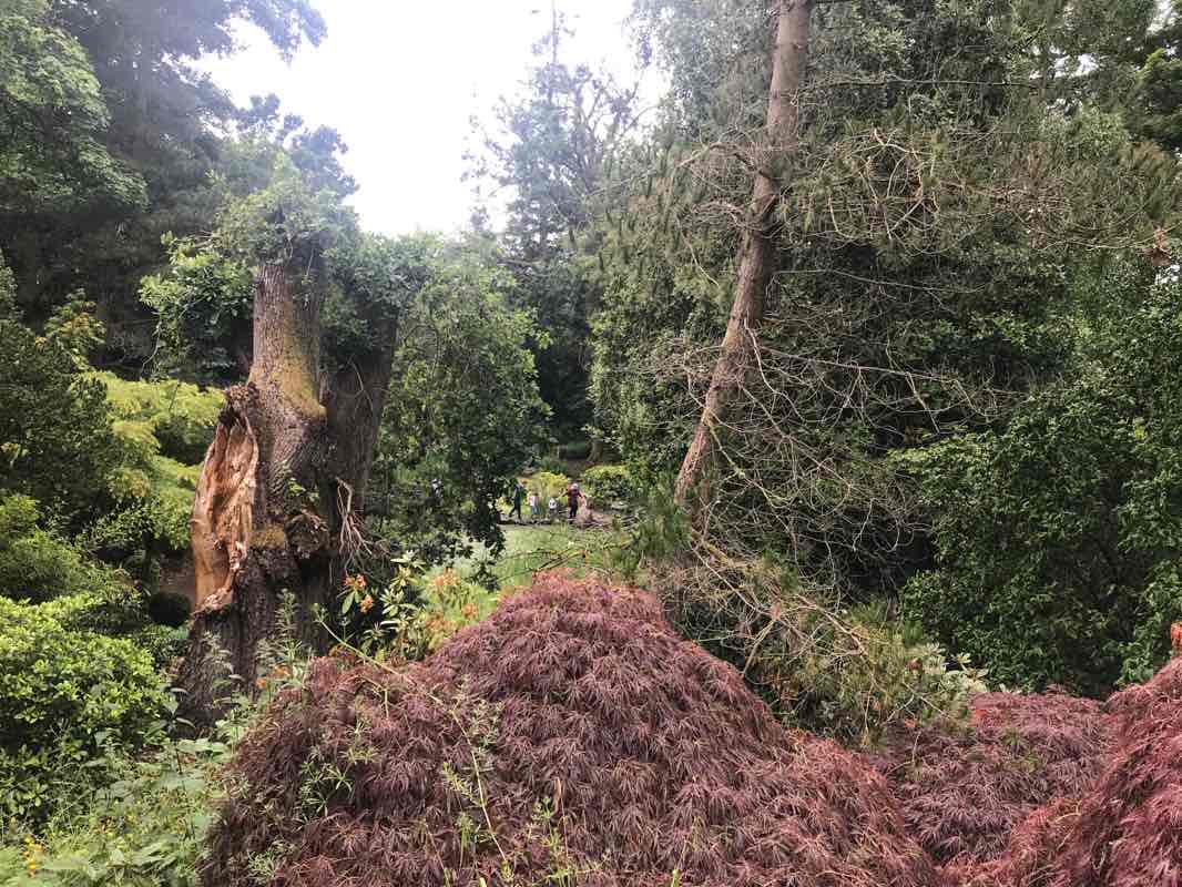 walking near me in Sir Thomas and Lady Dixon Park in winter