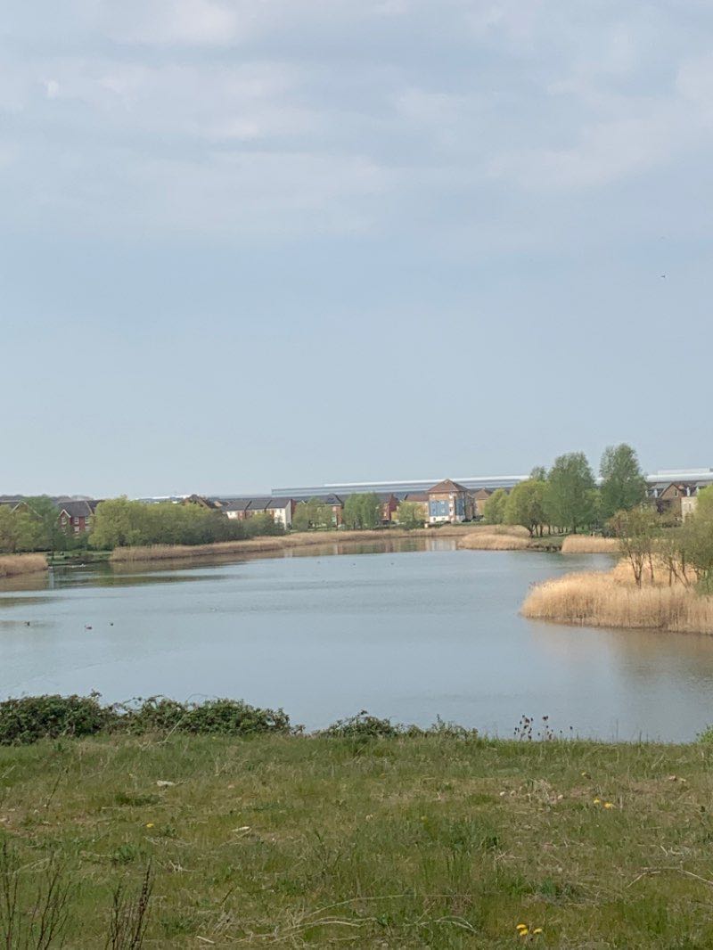 walking near me in Happy Hollows in winter