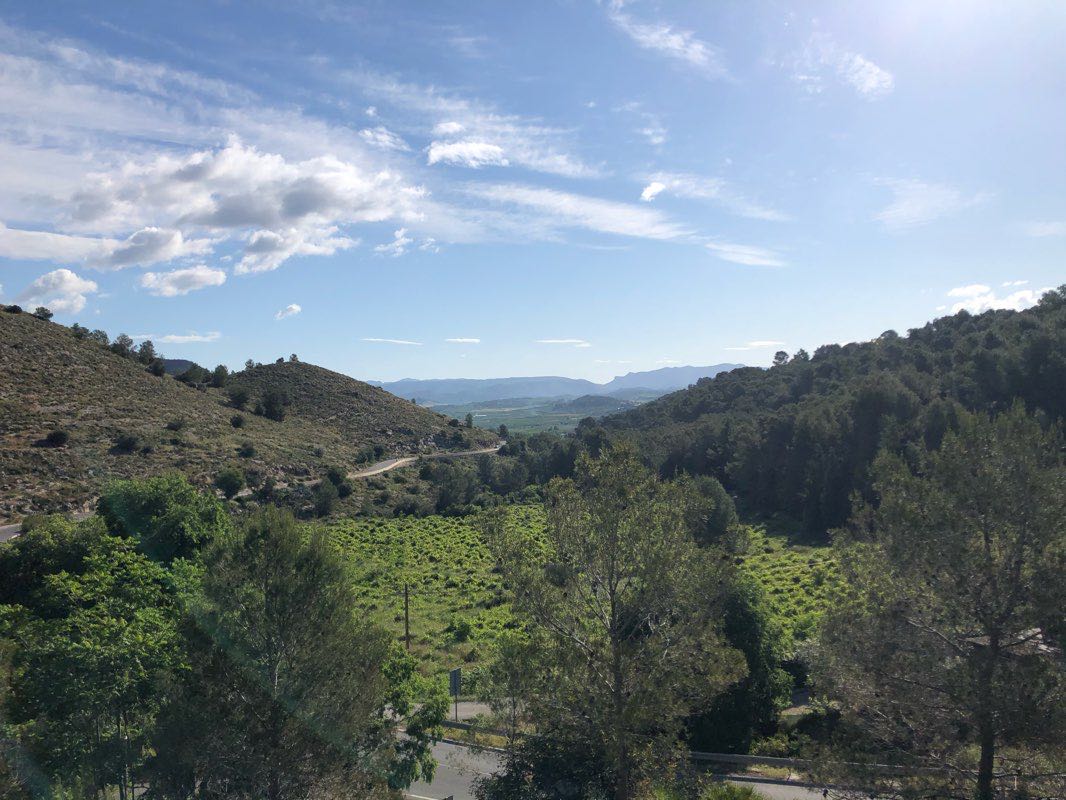 walking near me in Glorieta José Espejo in winter