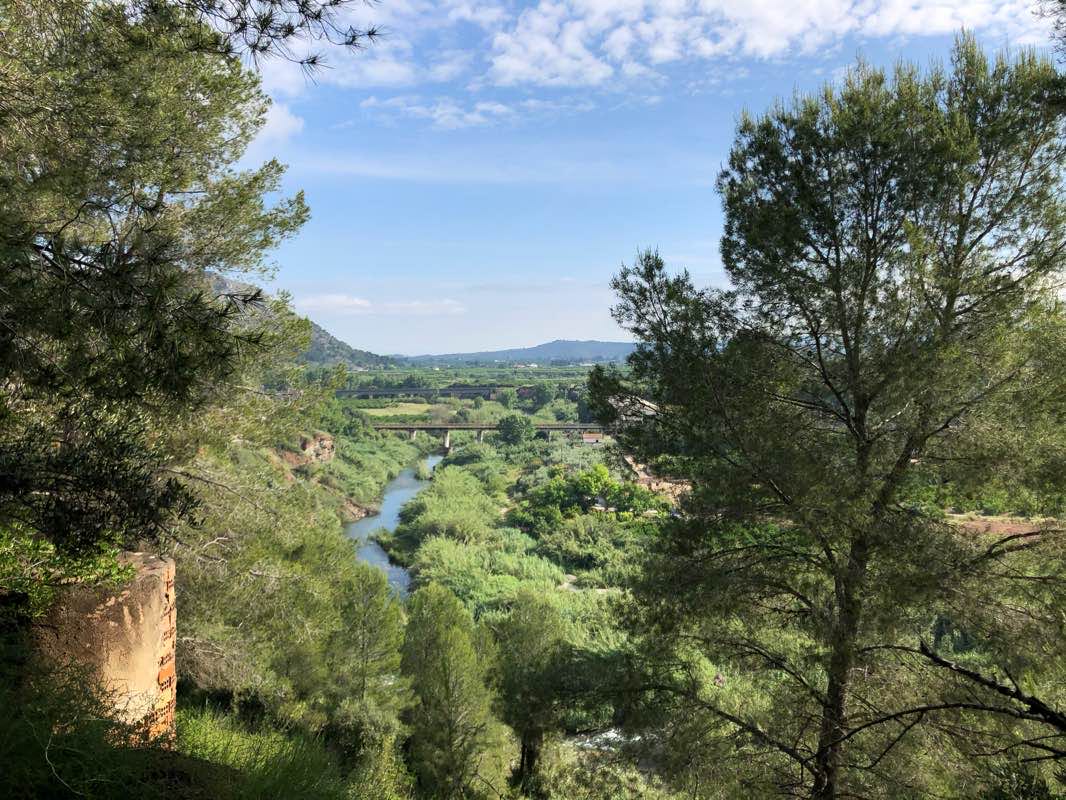 walking near me in Jardí de la Pau in winter