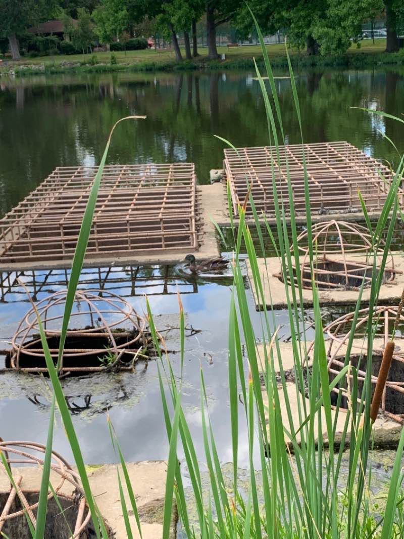 walking near me in Buhl Park in winter