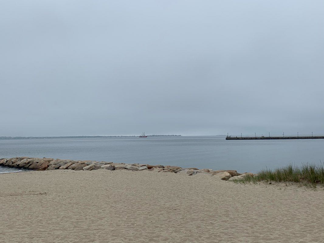 walking near me in Clegg Field in winter