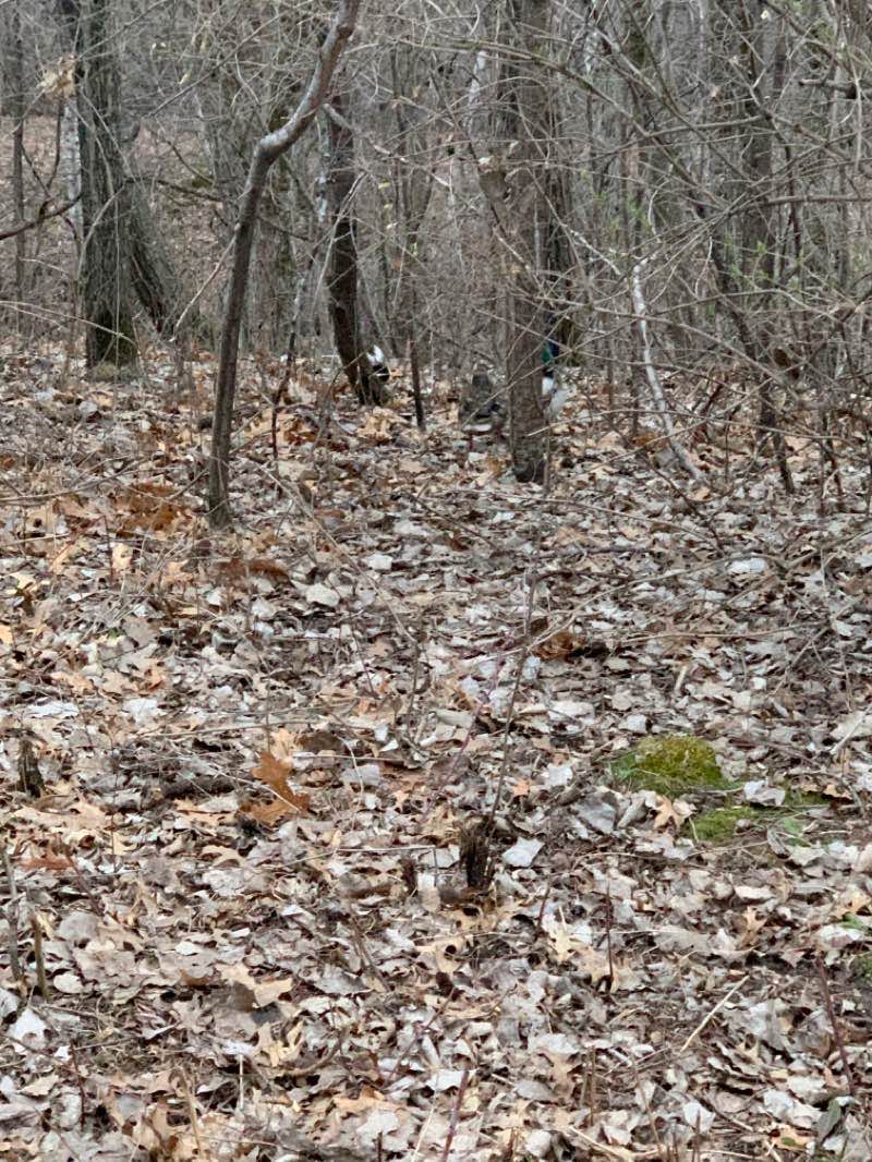 walking near me in Carver Lake Park in winter