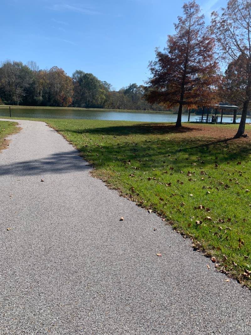 walking near me in Q V Sykes Park in winter