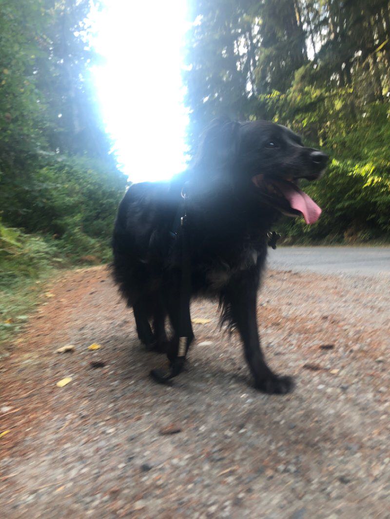 walking near me in Paradise Ridge Park in winter