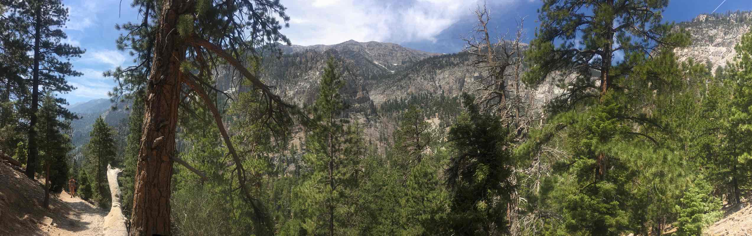 walking near me in Spring Mountains National Recreation Area in winter