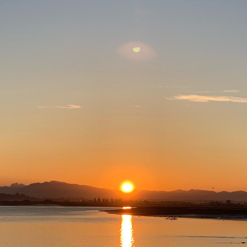 bibincherry9726 post 1