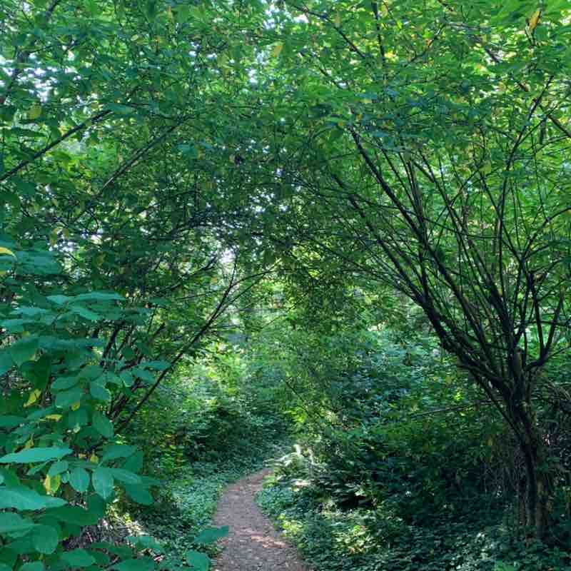 bibincherry9726 post 1