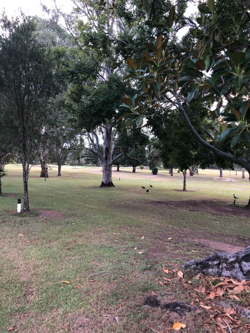 walking near me in Colley Park in summer