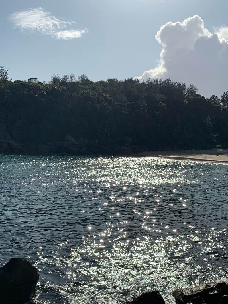 walking near me in Cabbage Tree Bay Aquatic Reserve in summer