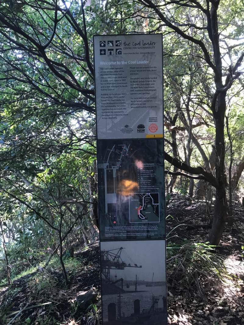 walking near me in Bradfield Park in summer