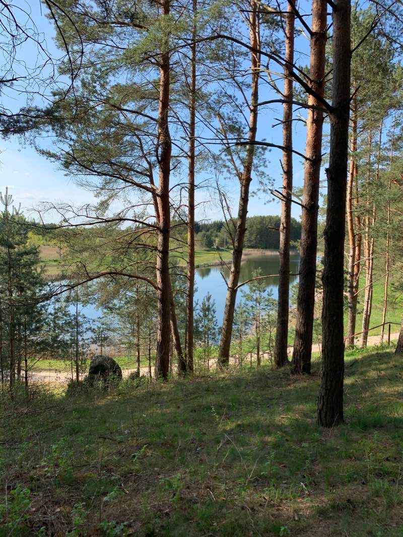 walking near me in Didžiosios kovos apygardos partizanų parkas in winter