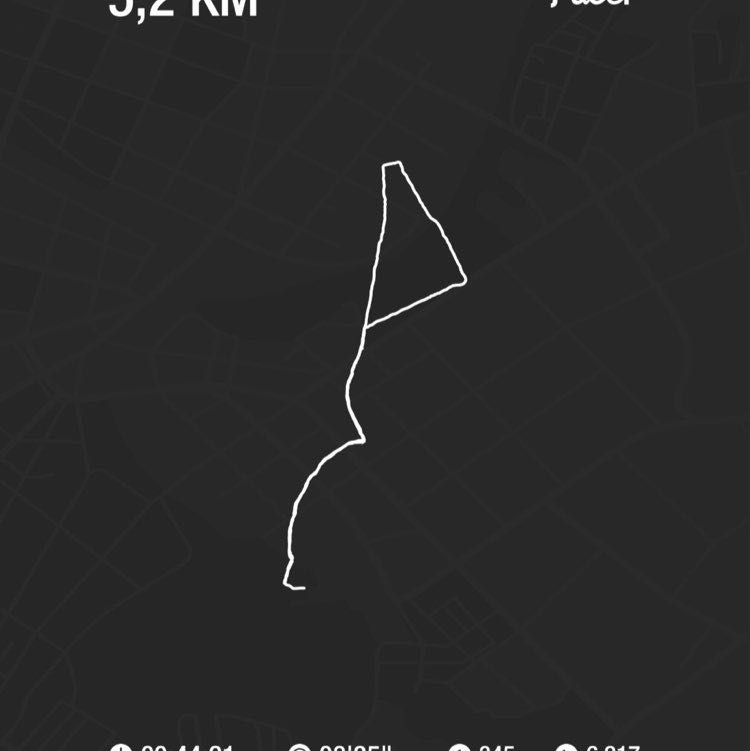 Thomaspahls1963 post 1