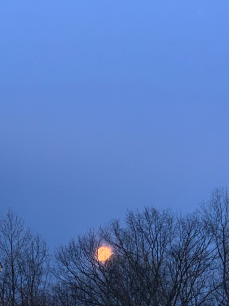 walking near me in Davenport Preserve in winter