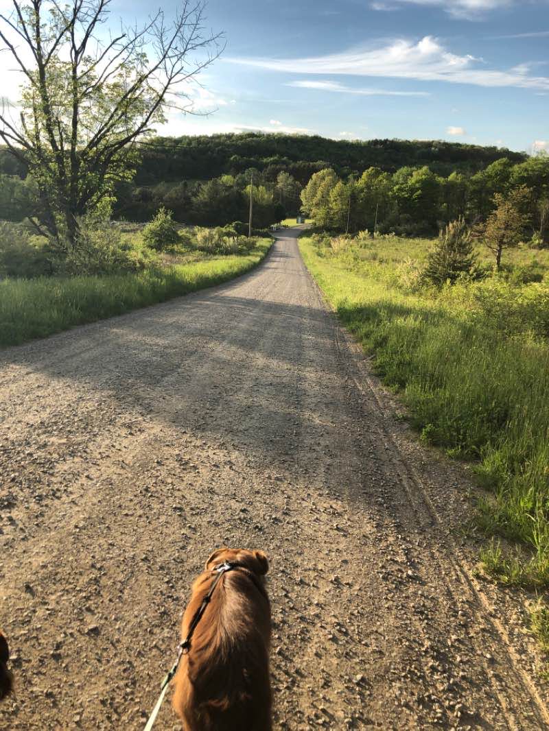 walking near me in Knox Community Park in winter
