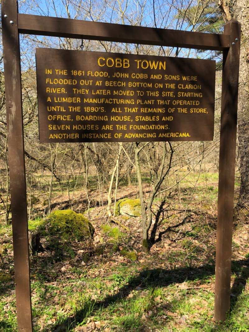 walking near me in Cook Forest State Park in winter
