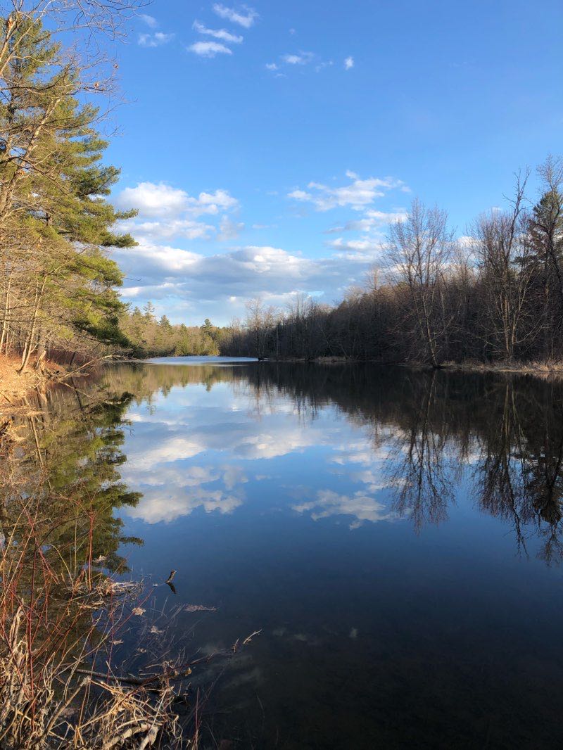 walking near me in Quarry Road Recreation Area in winter