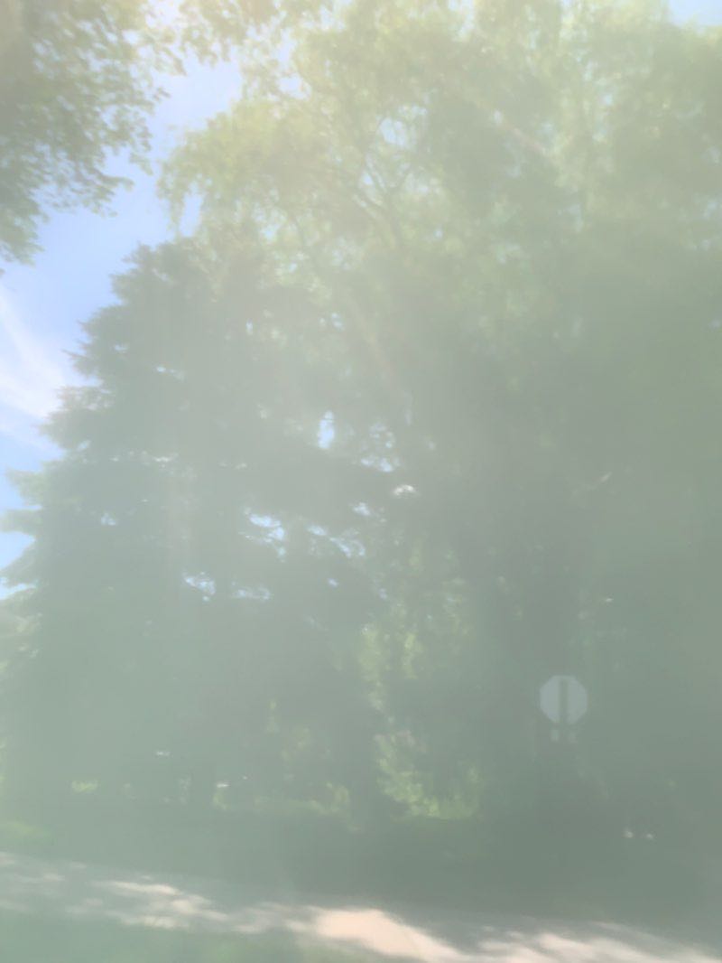 walking near me in Maetzold Field in winter