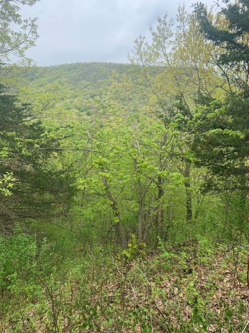 walking near me in John A. Latsch State Park in winter