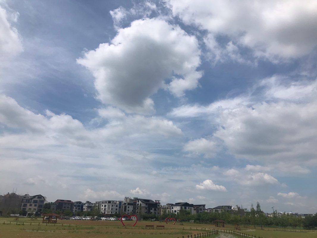 walking near me in 송담지구 꽃밭 in winter