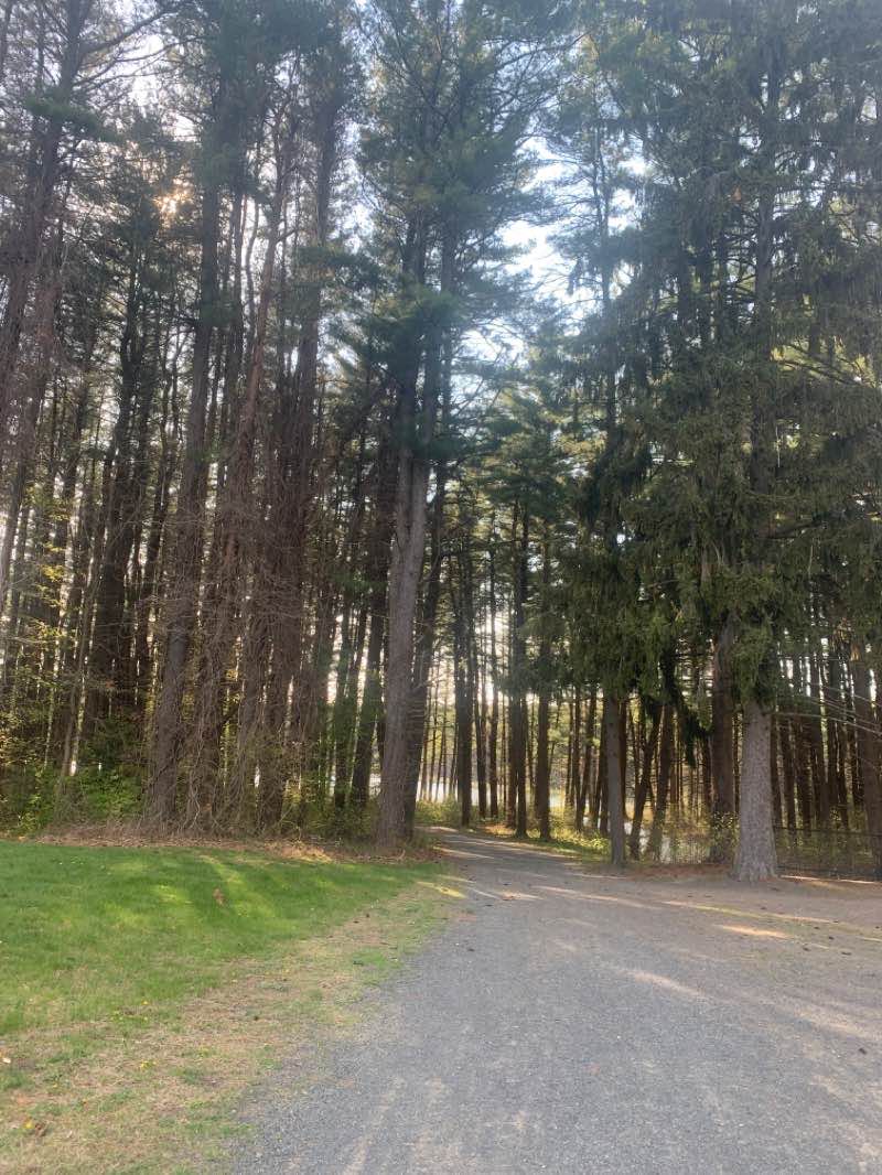 walking near me in Bear Hole Watershed in winter
