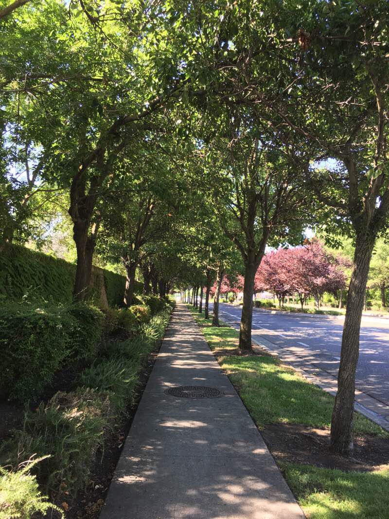 walking near me in North Natomas Community Park in winter