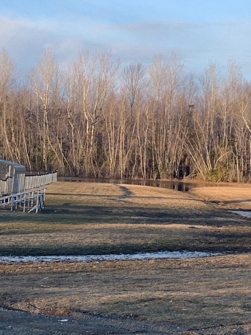 walking near me in Deer Park in winter
