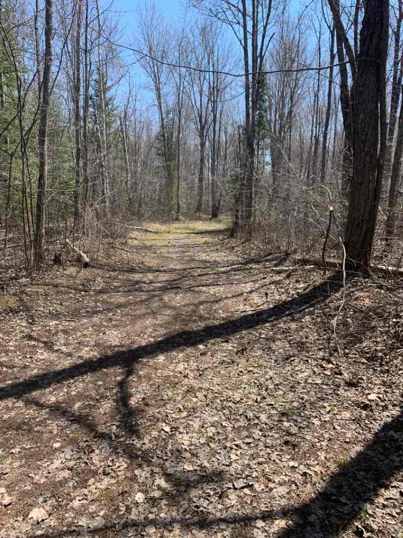 walking near me in Sir Douglas Hazen Park in winter