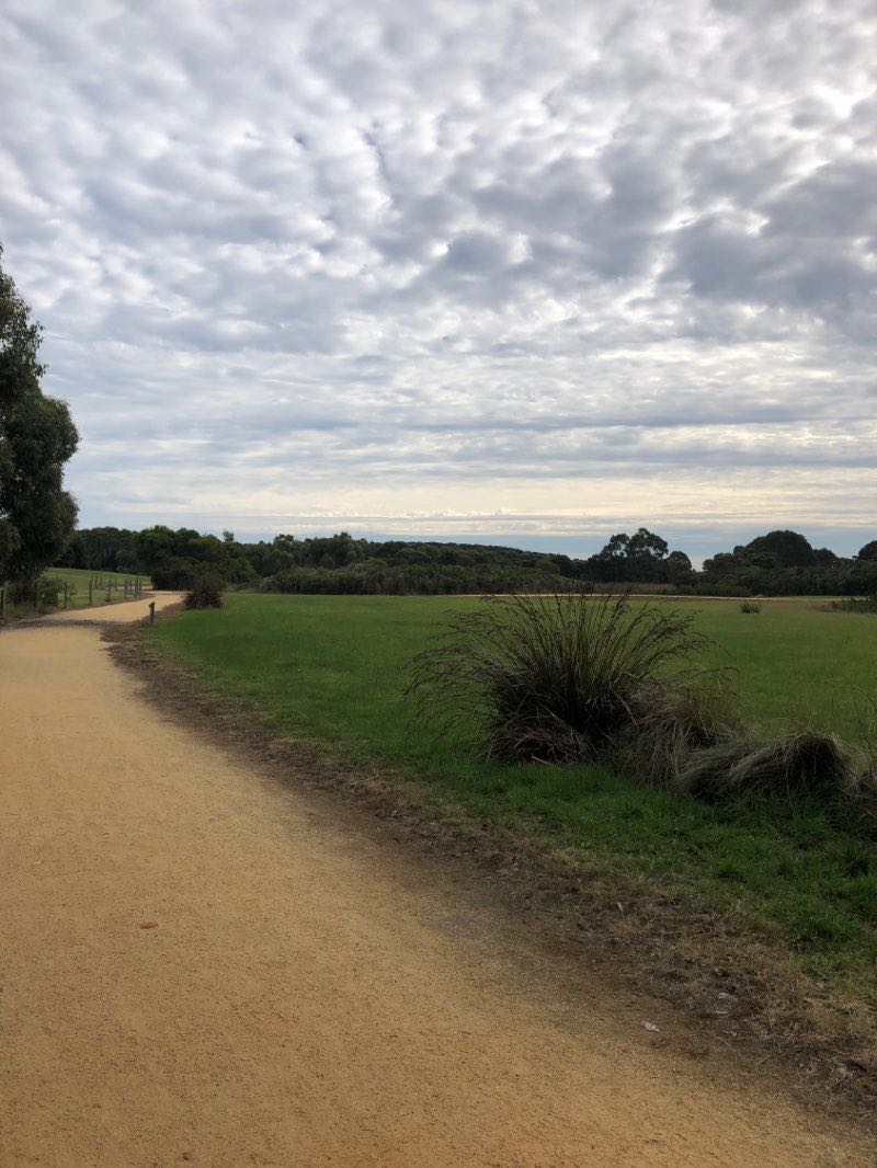 walking near me in Wonthaggi G238 Bushland Reserve in summer