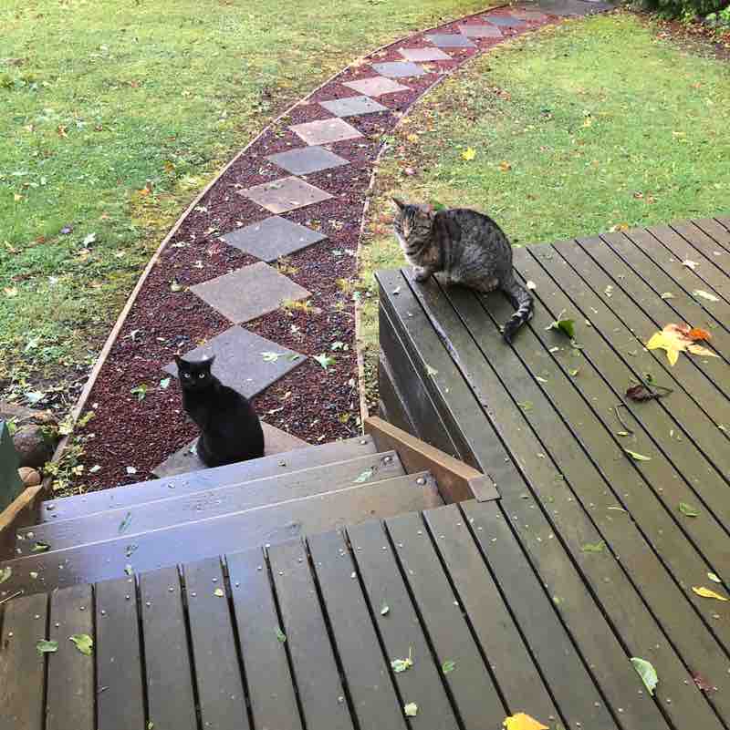 🐨🍓mari 🦘🦘🦘 post 1