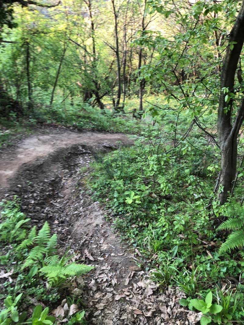 walking near me in Tirana Zoo in winter
