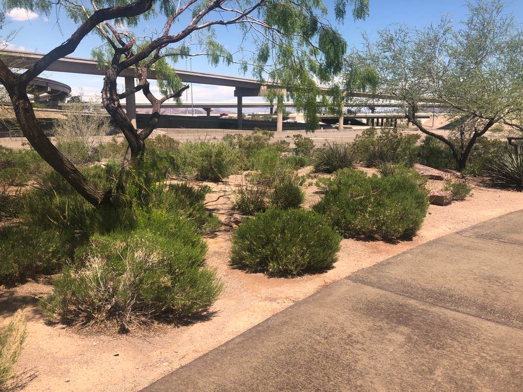 walking near me in Acacia Park in winter