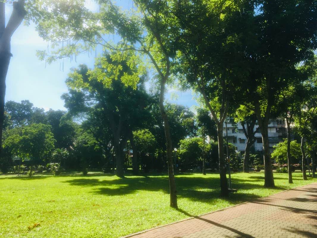 walking near me in Công viên Gia Định in winter