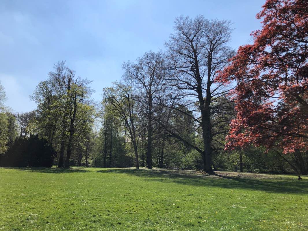 walking near me in Wuppermannpark in winter