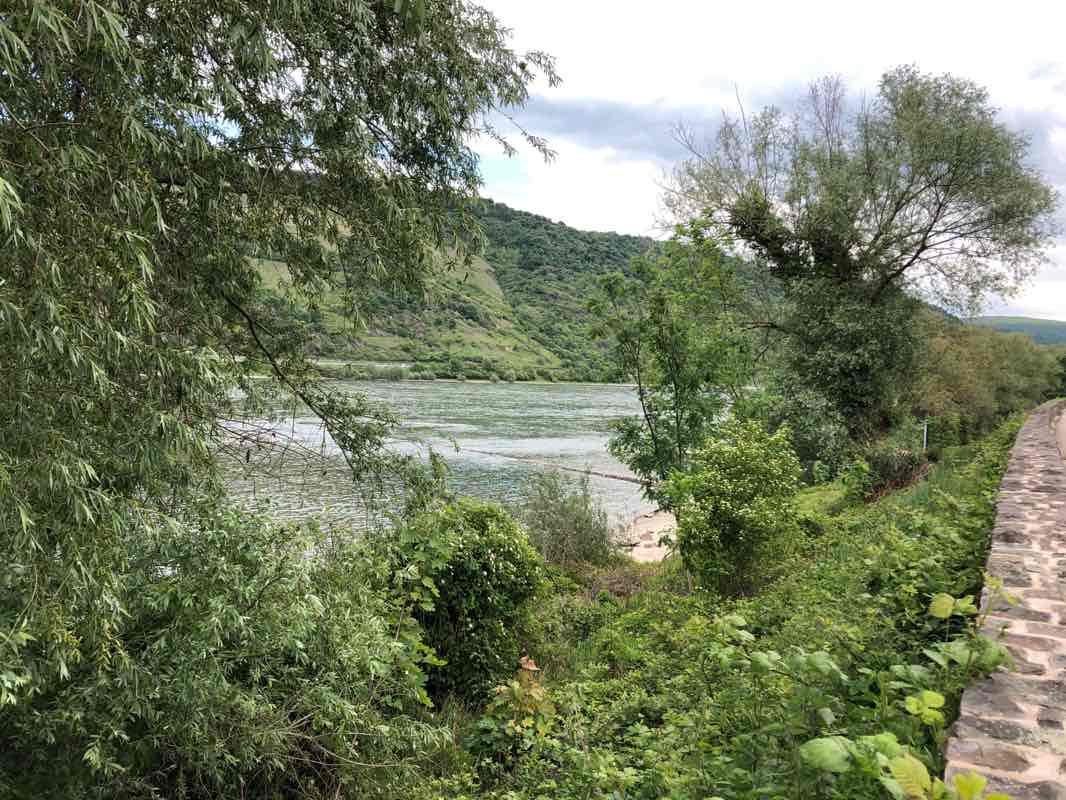 walking near me in Rheinanlagen in winter