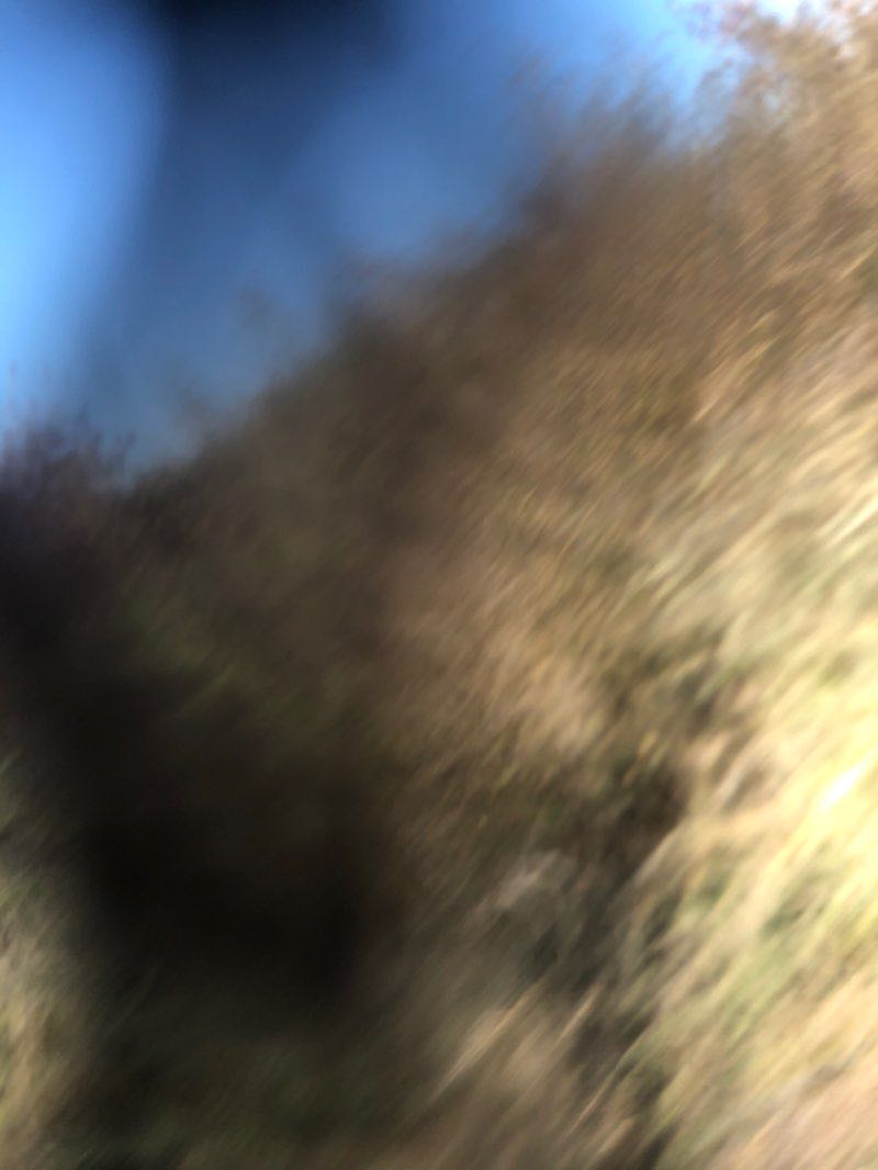 walking near me in Coal Creek Park in winter