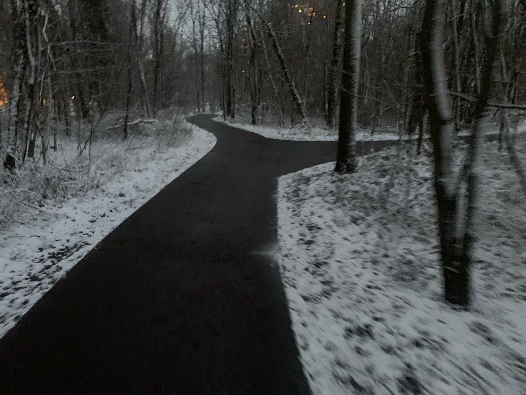walking near me in Groenevalleipark in winter