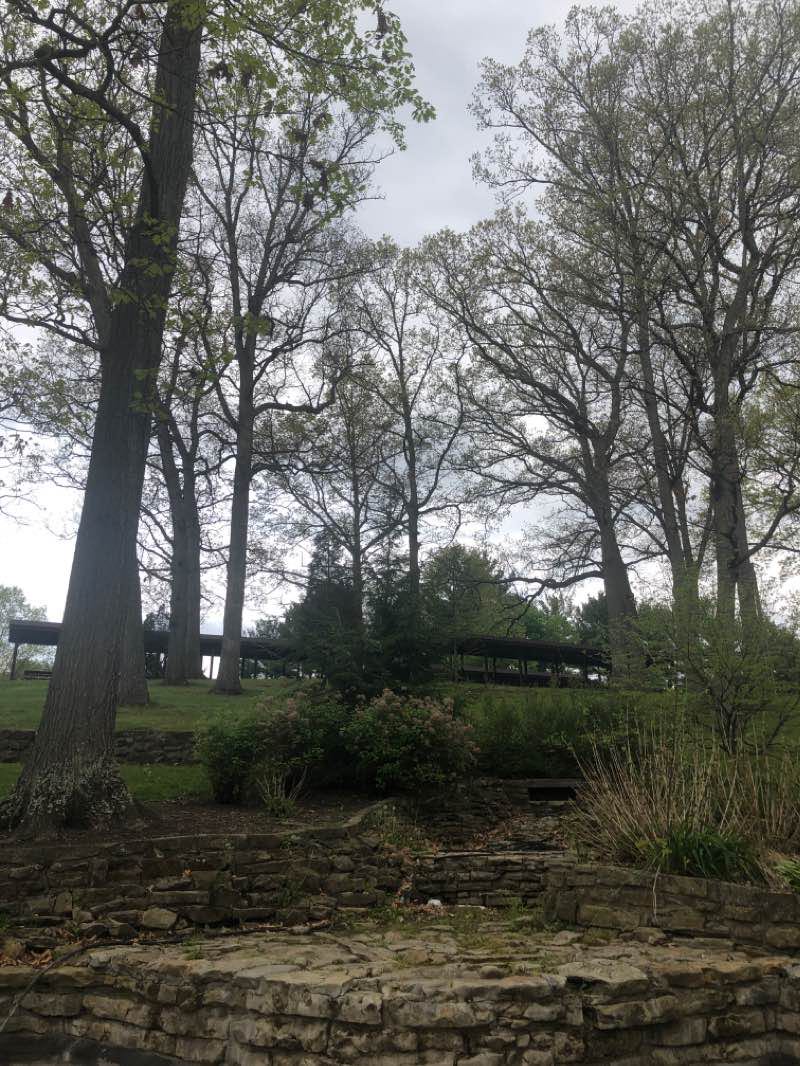 walking near me in Tuscora Park in winter