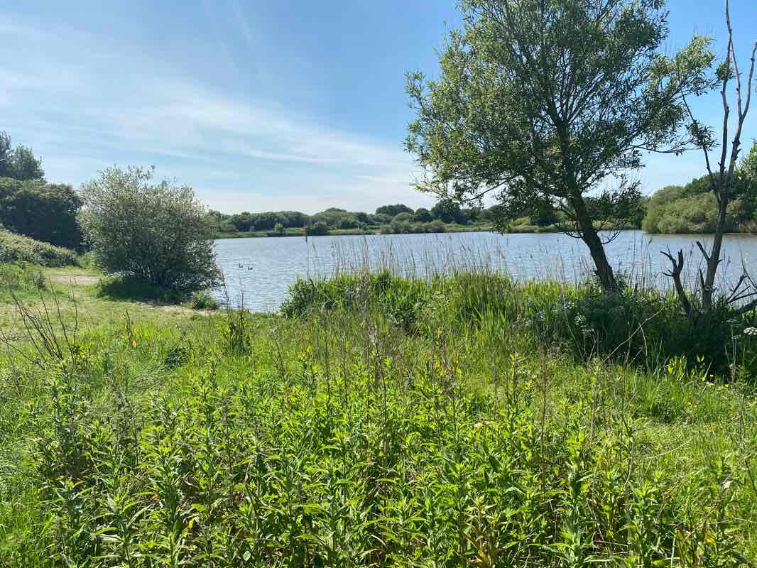 walking near me in Hendre Lake Park in winter