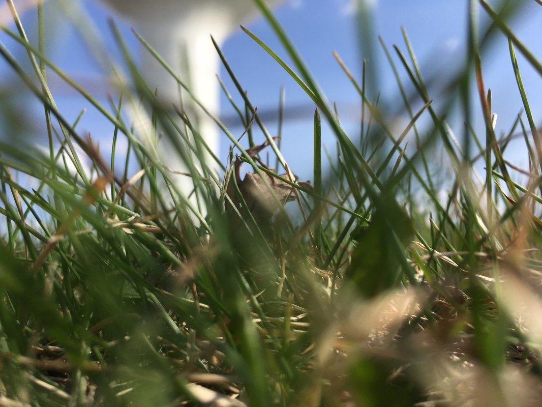 walking near me in Parmeadow Park in winter