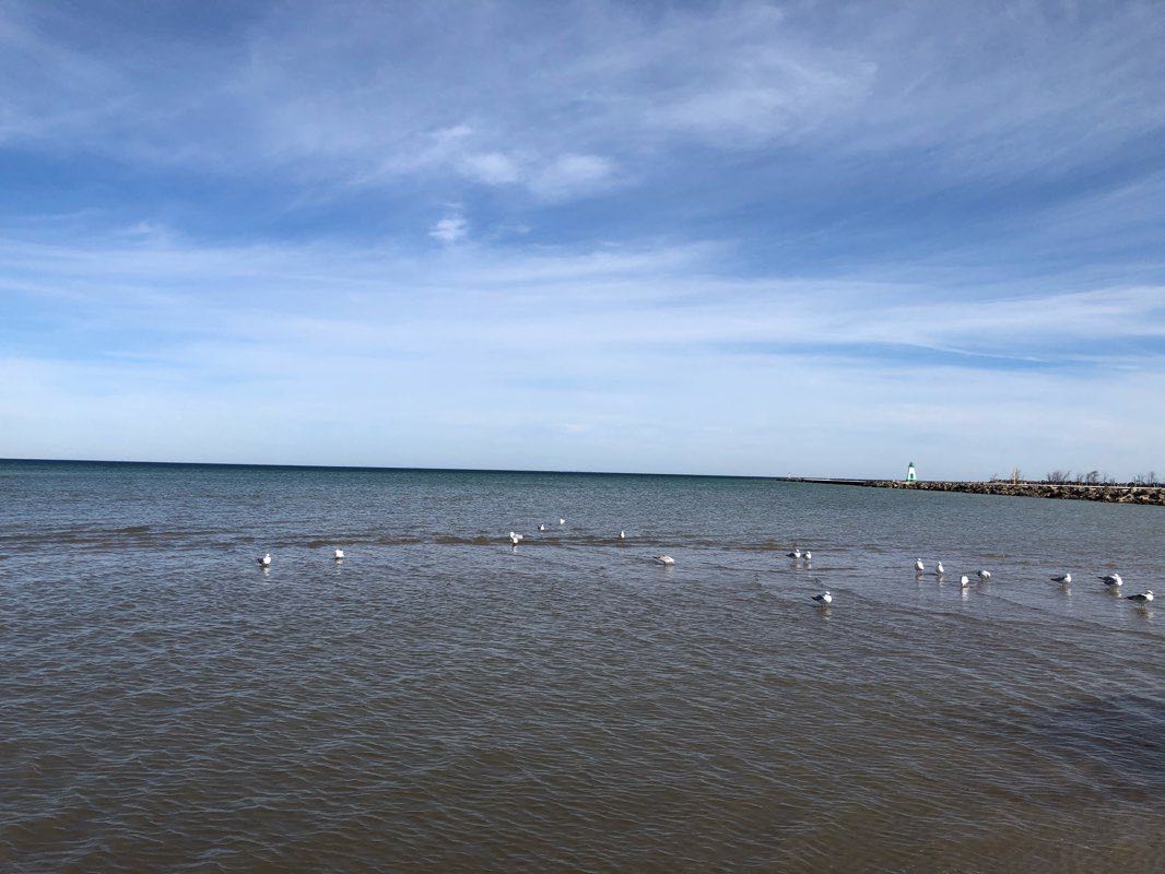 walking near me in Rennie Park in winter