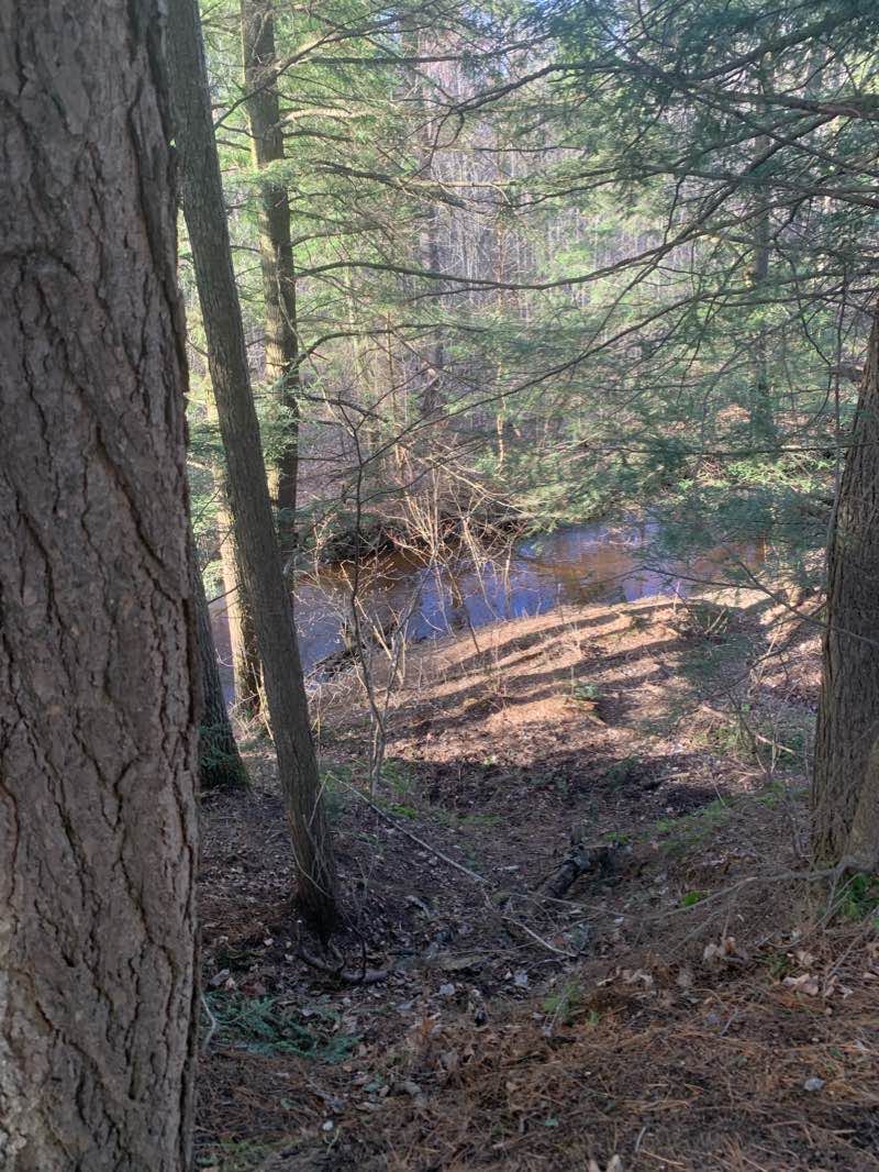 walking near me in Parc des Ruisseaux in winter