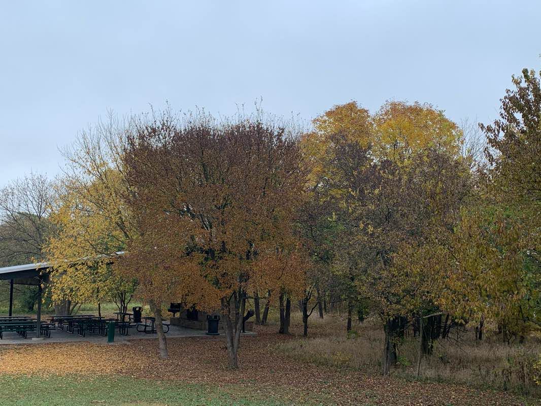 walking near me in Oak Point Park and Nature Preserve in winter